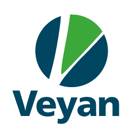 Logo Veyan Cyber Security